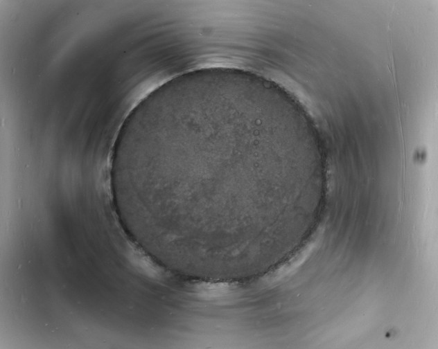 X0000103971121200809191528