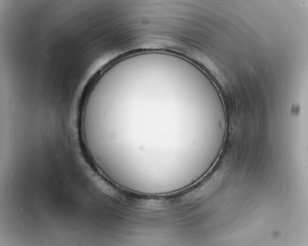 X0000103971122200809191528