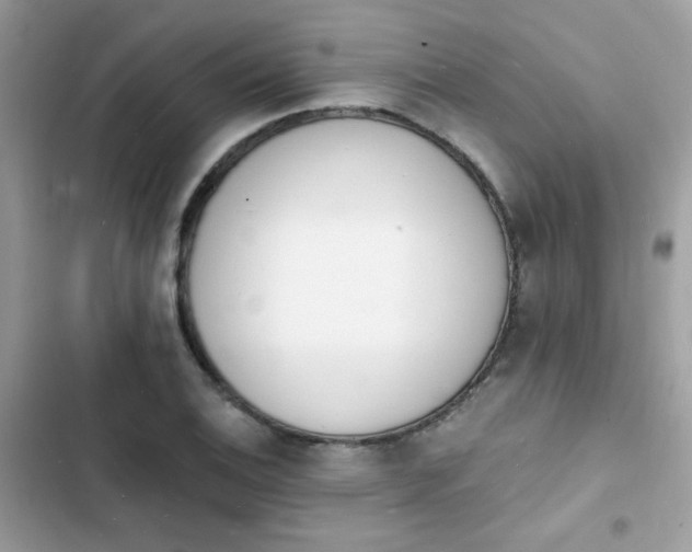 X0000103971124200809191528