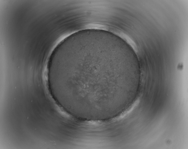 X0000103971125200809191528