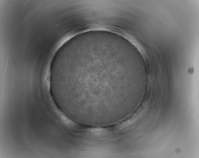 X0000103971127200809191528