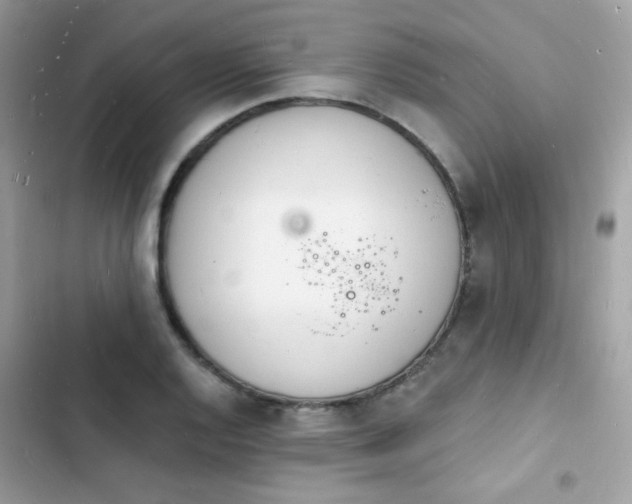 X0000103971128200809191528