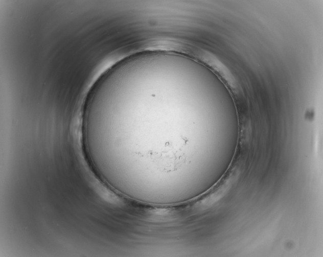 X0000103971130200809191528