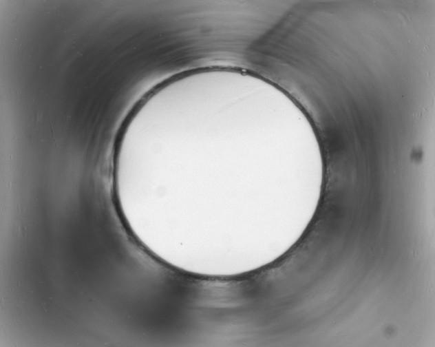 X0000103971132200809191528