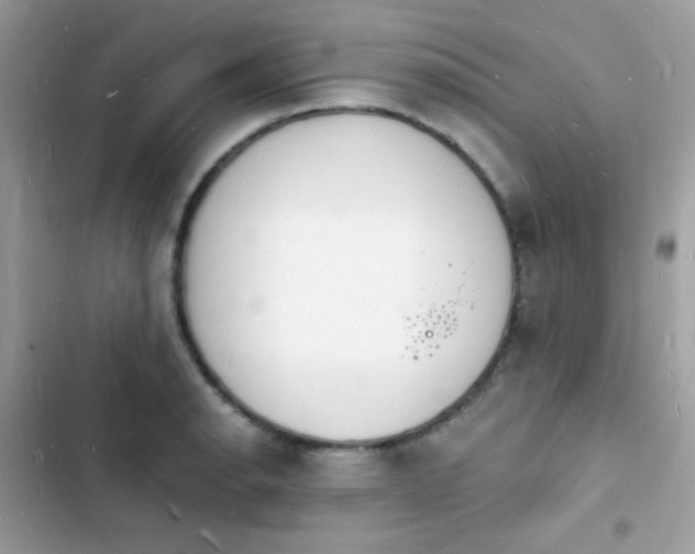 X0000103971134200809191528