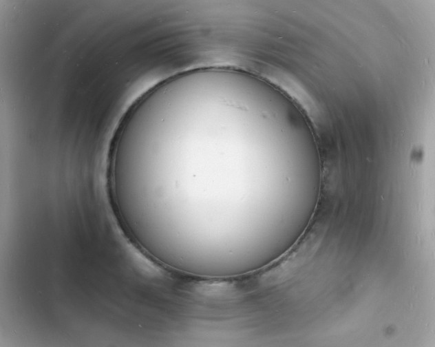 X0000103971135200809191528