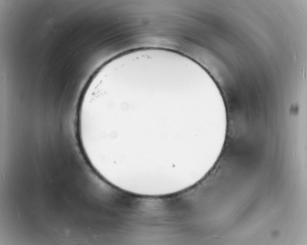 X0000103971136200809191528