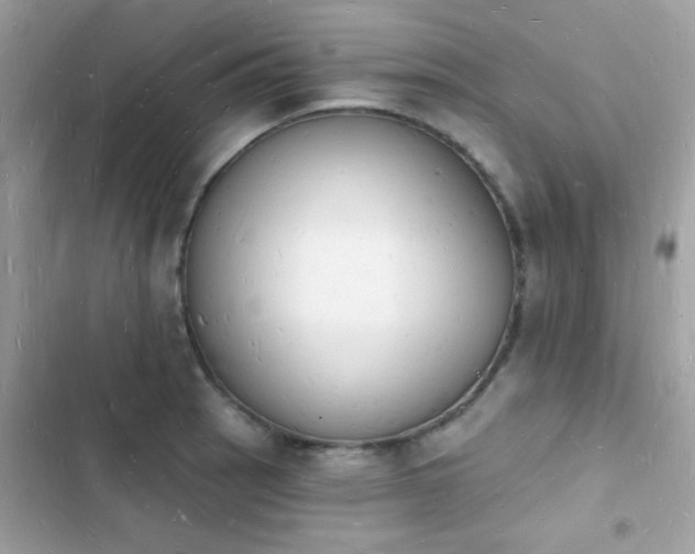 X0000103971137200809191528