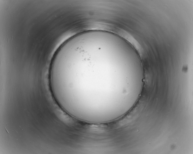 X0000103971138200809191528