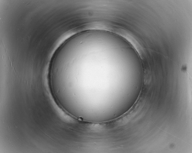 X0000103971139200809191528