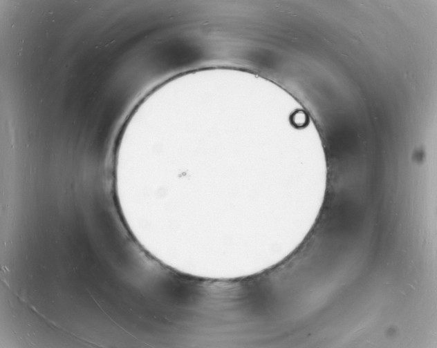 X0000103971140200809191528