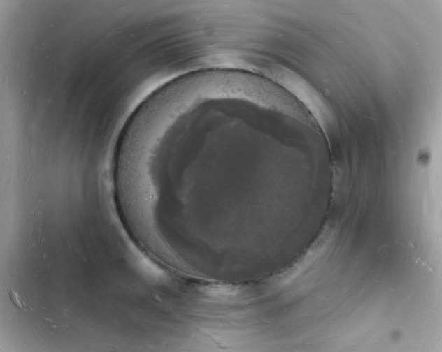 X0000103971141200809191528