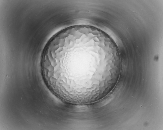 X0000103971142200809191528