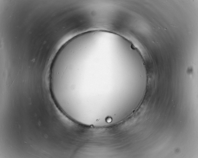 X0000103971143200809191528