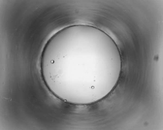 X0000103971144200809191528