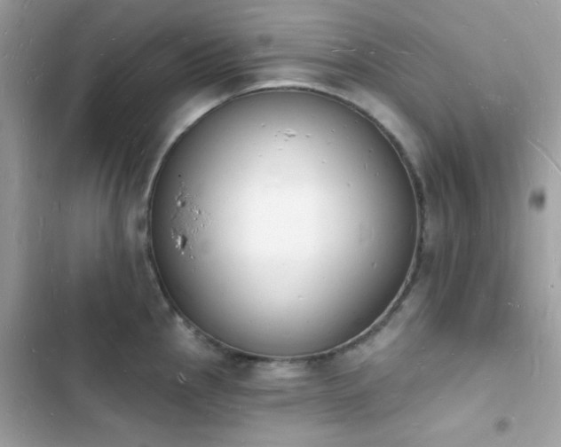 X0000103971145200809191528