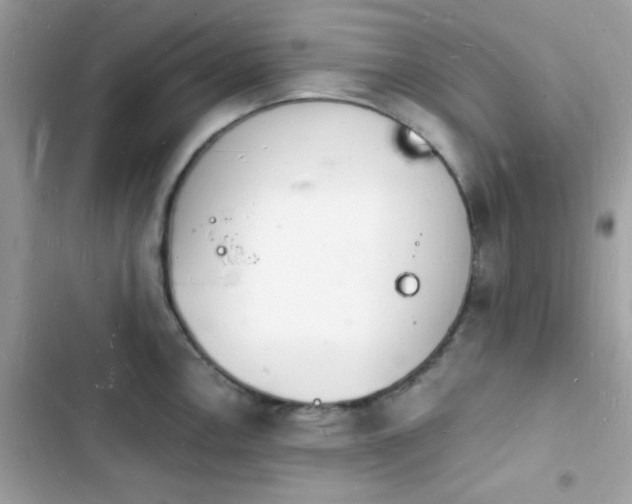 X0000103971146200809191528