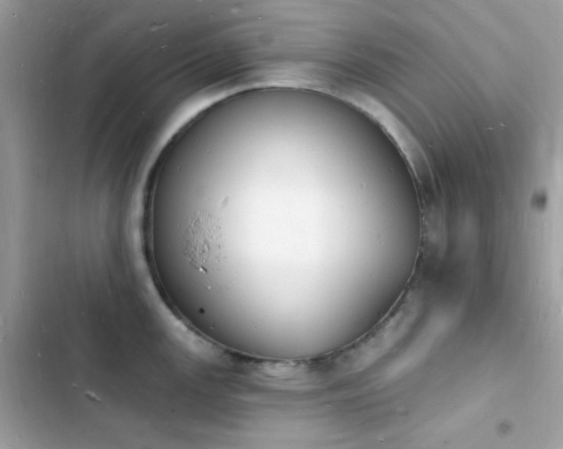 X0000103971147200809191528