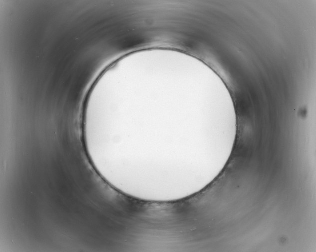 X0000103971148200809191528