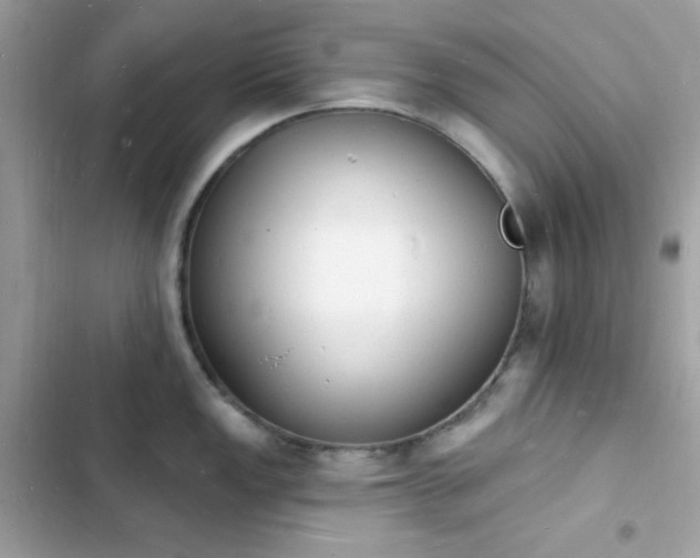 X0000103971149200809191528