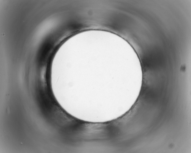 X0000103971150200809191528