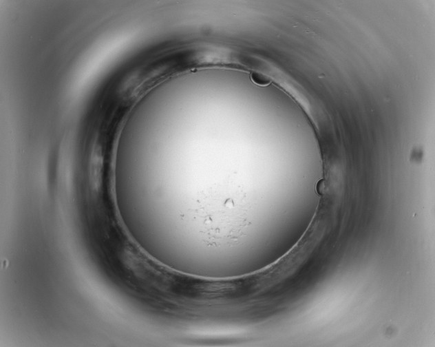 X0000103971151200809191528