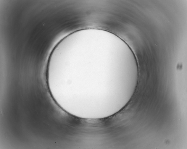 X0000103971152200809191528