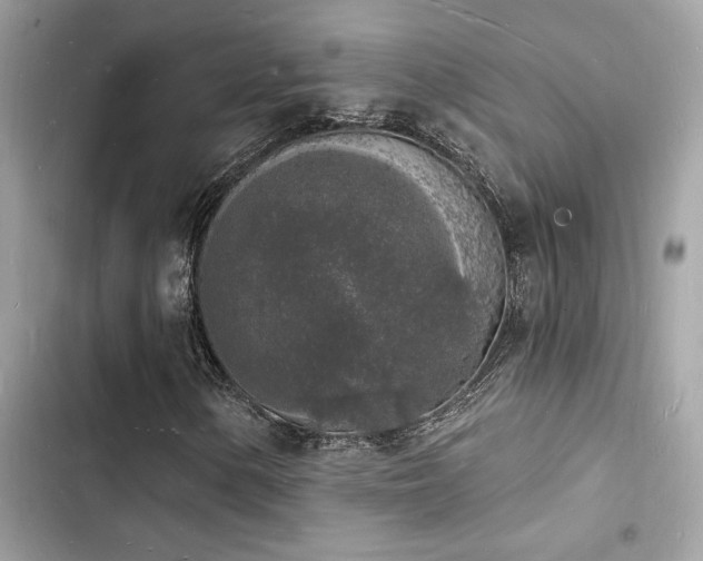 X0000103971154200809191528