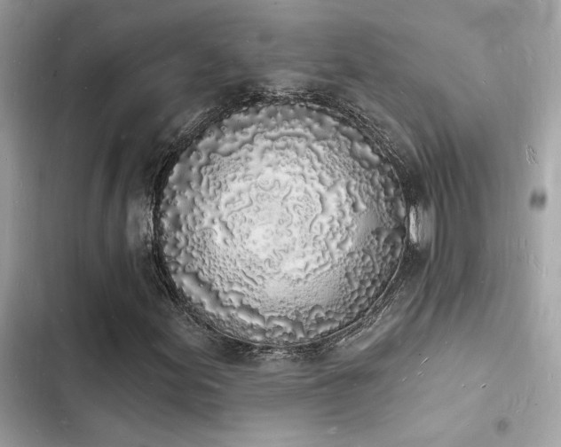 X0000103971155200809191528