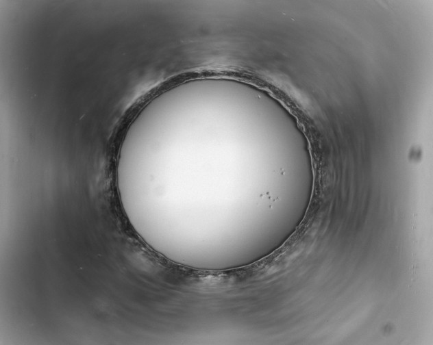 X0000103971160200809191527