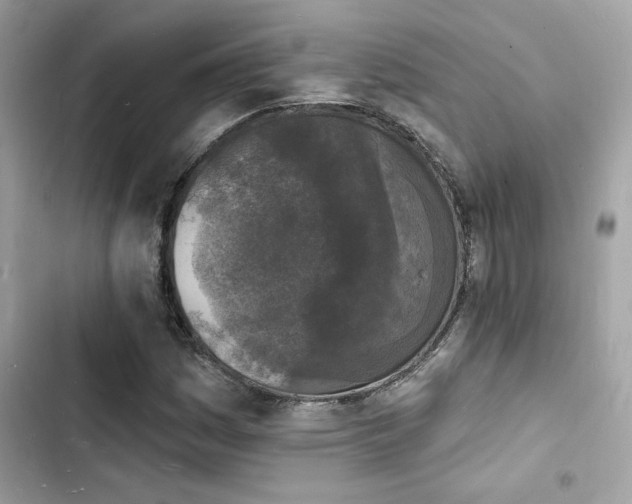 X0000103971161200809191527