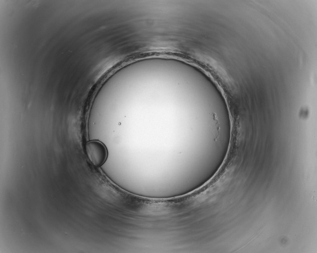 X0000103971162200809191527