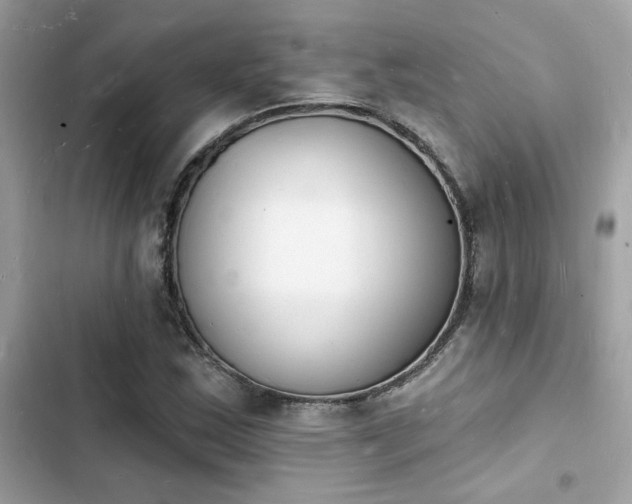 X0000103971163200809191527