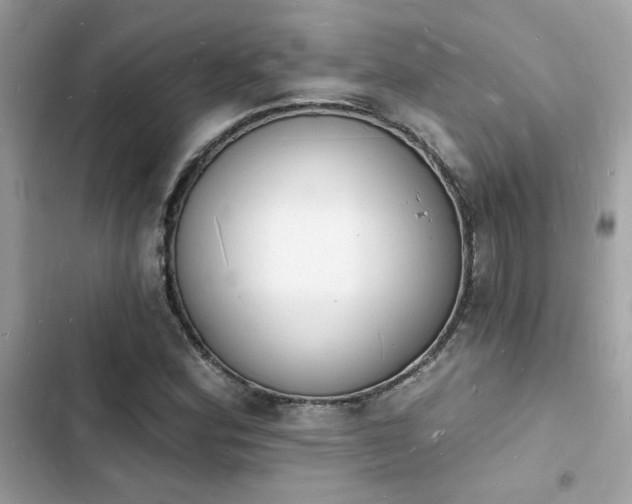 X0000103971164200809191527