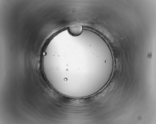 X0000103971165200809191527