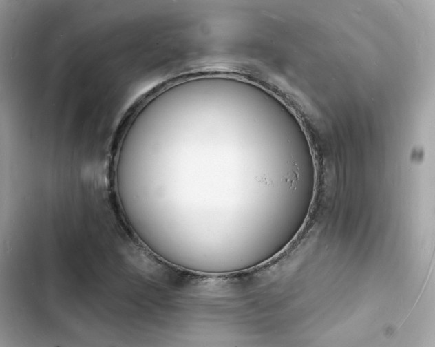 X0000103971166200809191527