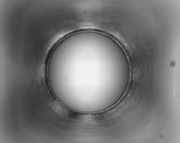 X0000103971167200809191527