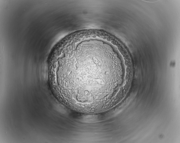 X0000103971171200809191527