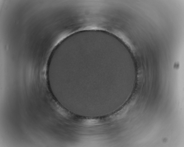 X0000103971173200809191527