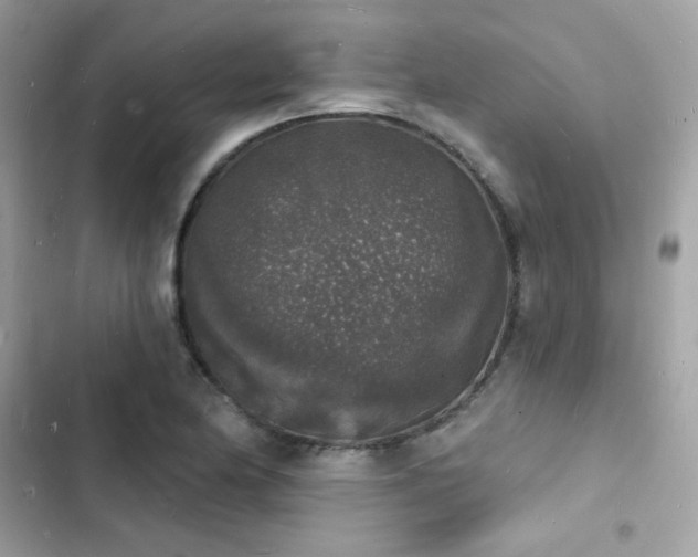 X0000103971174200809191527