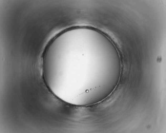 X0000103971175200809191527