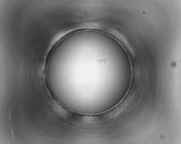 X0000103971176200809191527