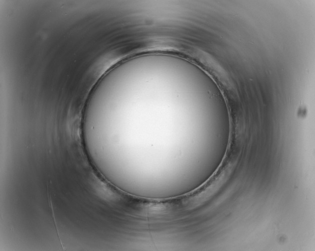 X0000103971177200809191527