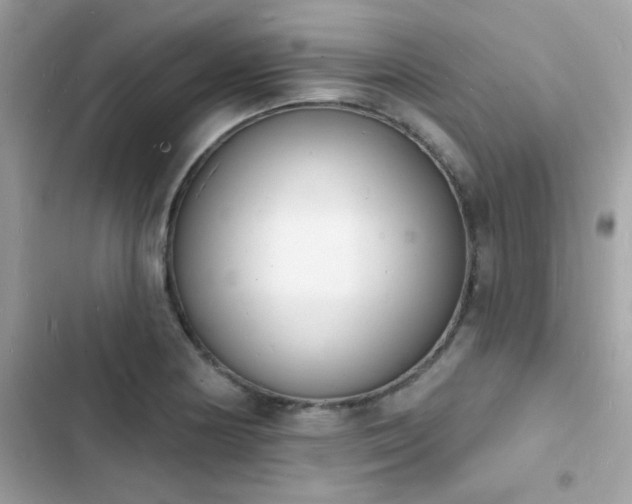 X0000103971178200809191527