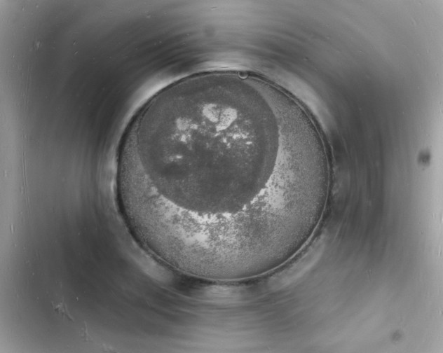 X0000103971179200809191527