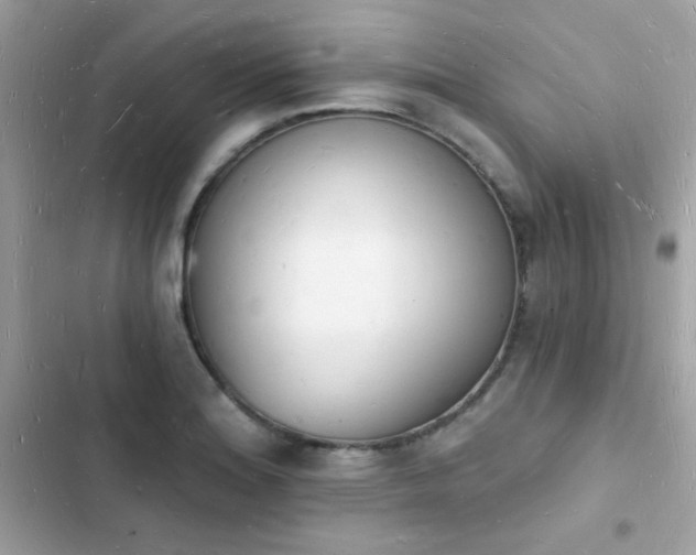 X0000103971180200809191527