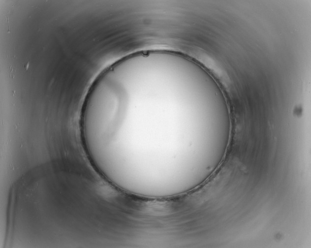 X0000103971181200809191527