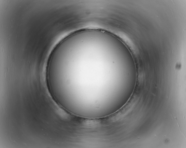 X0000103971183200809191527