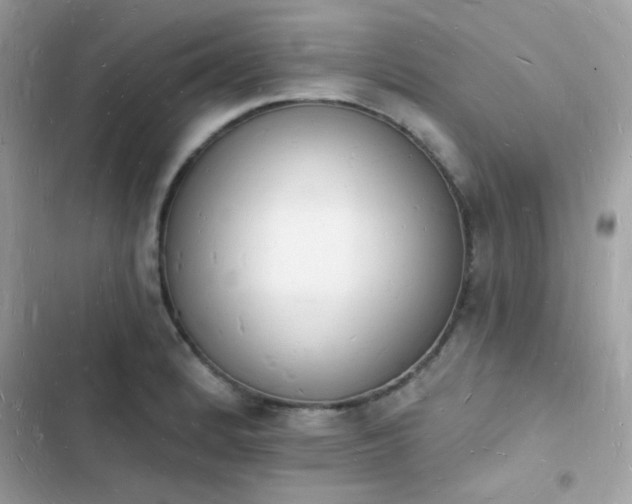 X0000103971184200809191527