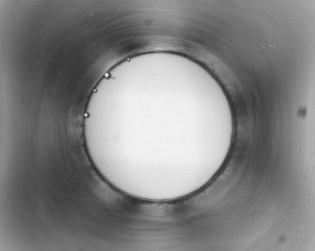 X0000103971185200809191527